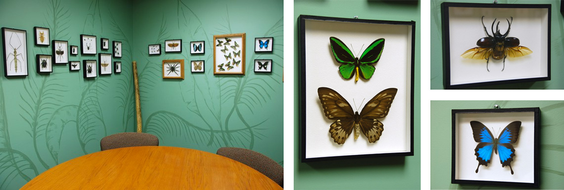 The Bug and Insect Themed Closing Room at Landmark Title of Racine